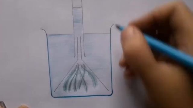 How to draw Experiment on Photosynthesis step by step for beginners in a very easy way!!! смотреть онлайн