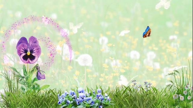 МОТЫЛЕК И ФИАЛКА - МОТЫЛЬКА УМОЛЯЕТ ЛЕСНАЯ ФИАЛКА смотреть онлайн