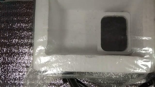 ?✌ЭУСТОМА! КАК ДЕЛА? ЗИМНИЙ ВЕЧЕР..