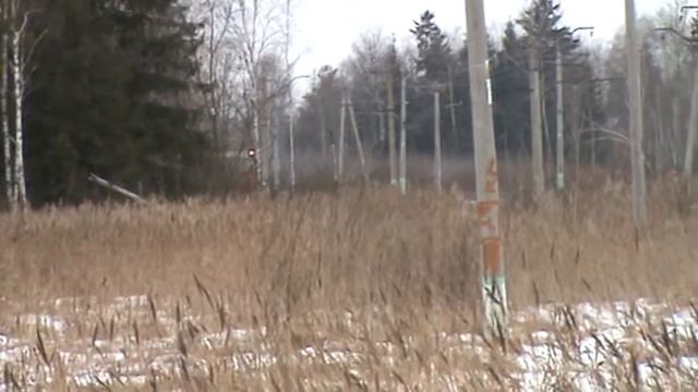 Электропоезда ЭР2Р-7046, ЭР2Р-7088 смотреть онлайн