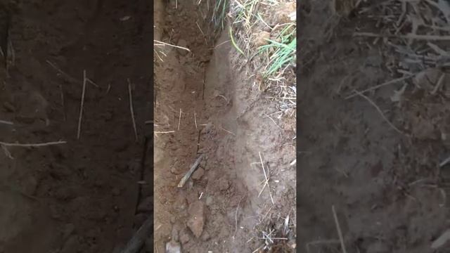 Шашка из земли смотреть онлайн