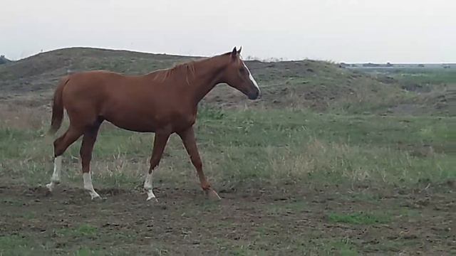 4 августа 2019 г. смотреть онлайн