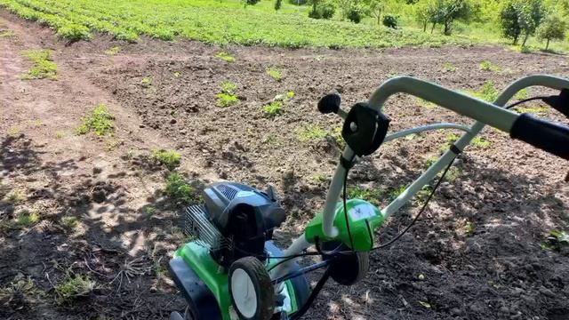 1000083986.mp4 Три дня из жизни в деревне)