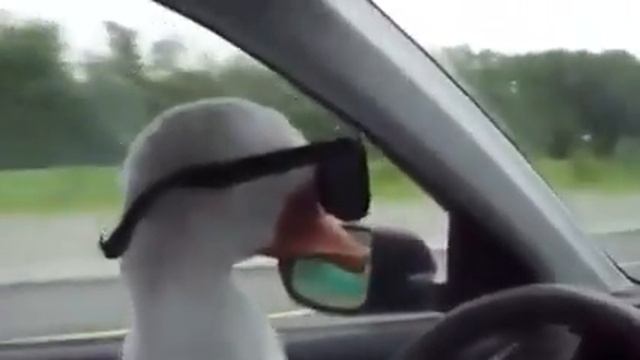 Мама Ама криминал! Гусь за рулем D смотреть онлайн