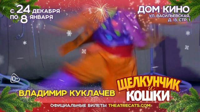 Новогодний спектакль "Щелкунчик и кошки"
! смотреть онлайн