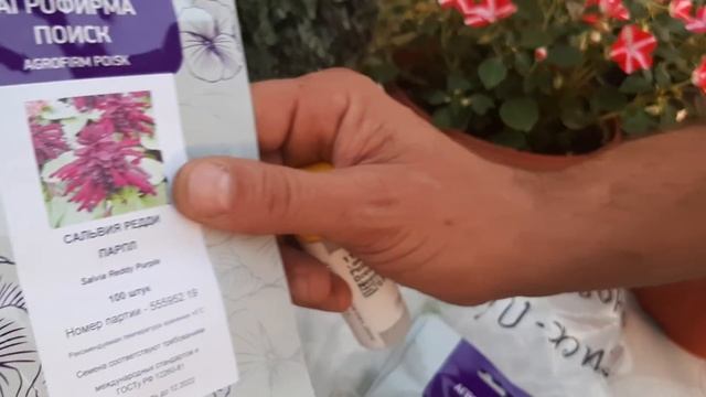 КРАСИВЫЕ ЦВЕТЫ у меня дома?ПОСЫЛКА С СЕМЕНАМИ 2020 смотреть онлайн