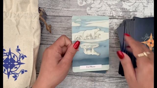 Wednesday Walkthrough | The Witches Wisdom Tarot смотреть онлайн