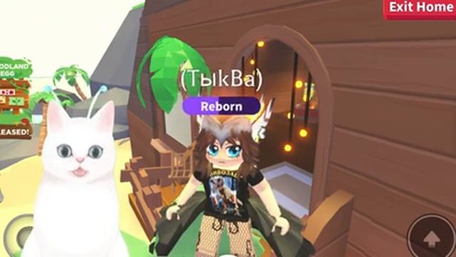 ВАУ! 2 ОБНОВЛЕНИЯ СРАЗУ! СЕКРЕТНОЕ ОБНОВЛЕНИЕ АДОПТ МИ РОБЛОКС! Кошка Рози смотреть онлайн