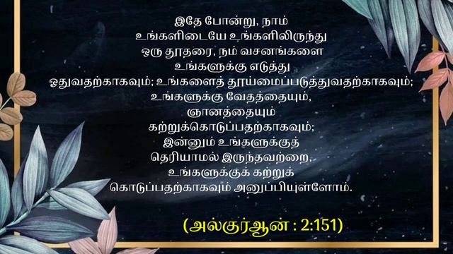 Holy quran Tamil |Quran For Sleep/Relaxing Quran(Al baqarah)|Verses 151 |@Quran-WaytoJannatUlFirdau смотреть онлайн