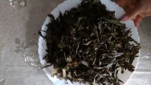 Как правильно заготовить Иван чай  Сбор, ферментация, сушка