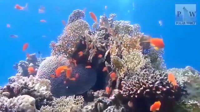 ЛУННЫЙ КАЛЕНДАРЬ НА 24 ФЕВРАЛЯ 2022 ГОД. ОБЩИЕ РЕКОМЕНДАЦИИ ДЛЯ ВСЕХ ЗНАКОВ ЗОДИАКА смотреть онлайн