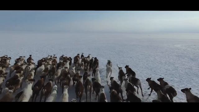 Снегоходная экспедиция: Ледяная кромка России. Тизер смотреть онлайн