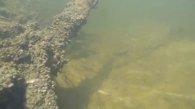 Островной кемпинг. Под водой. смотреть онлайн