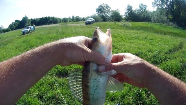 Джиг спиннинг, ловля судака с друзьями. смотреть онлайн