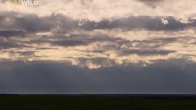 Нашествие полмиллиарда мышей смотреть онлайн