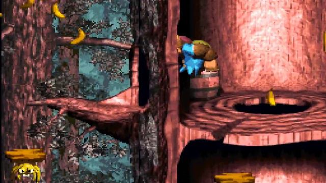 Springin Spiders, Secret Exit Warp Barrel, Bonus & DK Coins DKC3 смотреть онлайн