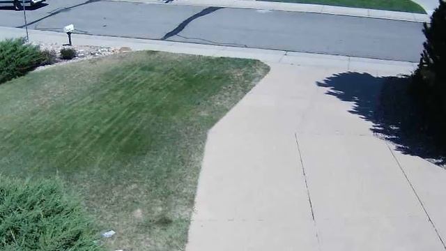 12+ years of Watching Grass Grow in 25 minutes! (Slo-Mo version) смотреть онлайн