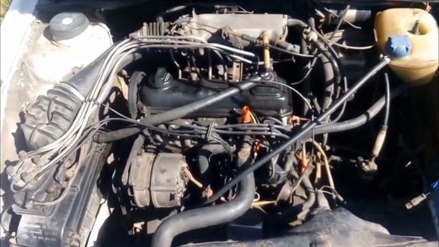 Golf 2 Гольфы подписчиков БЕЛАРУСЬ #golf2 #golf #mk2 смотреть онлайн