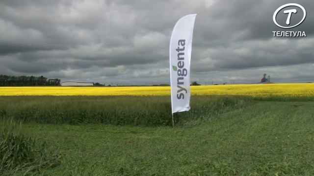 «Сингента» провела в Тульской области День поля смотреть онлайн