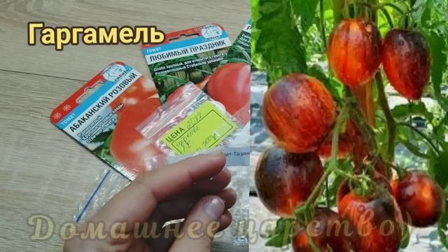 ТОМАТЫ самые урожайные!!!???? смотреть онлайн