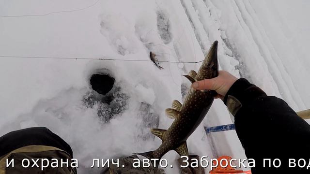 #Гостевой #дом #Егерские #услуги. Рыбацкое счастье. Трофейная щука. Зимнии жерлицы. смотреть онлайн