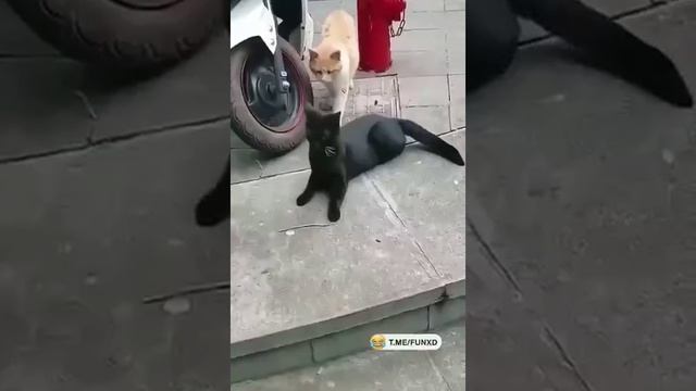 Кажется, кого-то спалили на измене смотреть онлайн