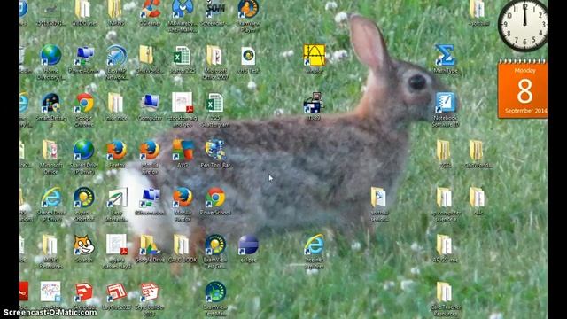Bunny Demo смотреть онлайн