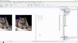 Создание картины по номерам в CorelDrow