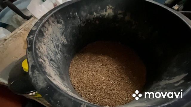 Рецепт кормления молодняка Гусей/ Без применения комбикорма/Пошаговая инструкция смотреть онлайн