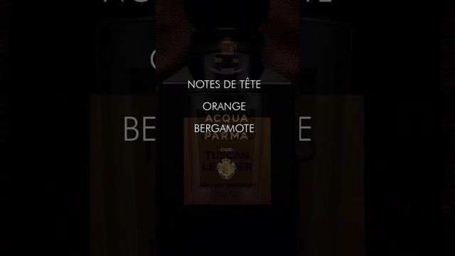 TOP 5 2023 | PARFUMS HOMME AU OUD смотреть онлайн