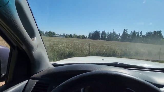 Какие стали Калифорнийские отводки смотреть онлайн