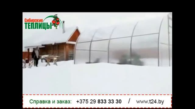 НОВИНКА! Сибирская теплица, купить теплицу из поликарбоната, ОТЗЫВЫ в Беларуси смотреть онлайн