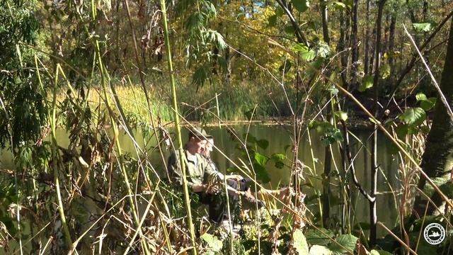 Сплав по Битюгу в октябре 2020 полная версия. Autumn rafting on the Bityug river, Russia 4K смотреть онлайн