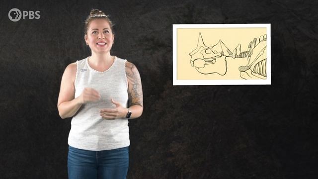 Why Did These Ancient Gophers Have Horns? смотреть онлайн