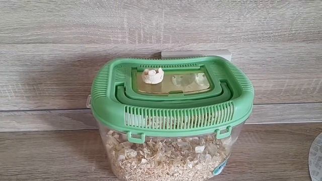 Рецепты здоровья