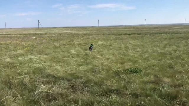 Дебби. смотреть онлайн