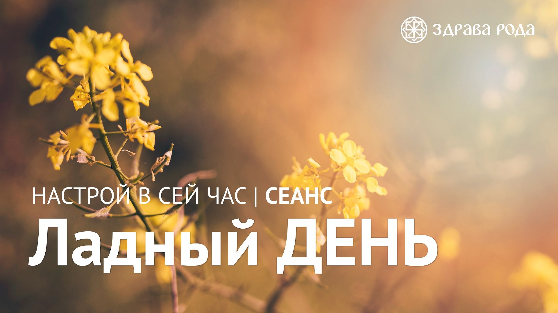 Ладный день. Оздоровительный сеанс Здравы РОДА. смотреть онлайн