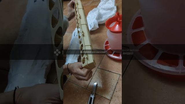 Удивительная посылка с OZON смотреть онлайн