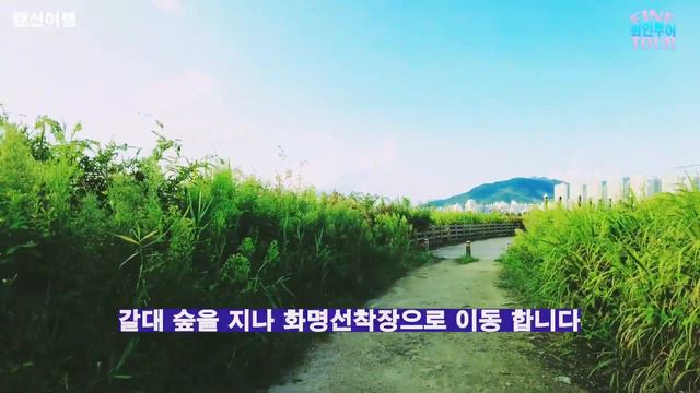 걷기 좋고, 자전거타기 좋고, 수상레포츠하기 좋은 부산 (화명생태공원)을 소개 합니다 | 낙동강 뷰와 메타쉐콰이어 길이 너무 아름다운곳 | 국내여행 смотреть онлайн