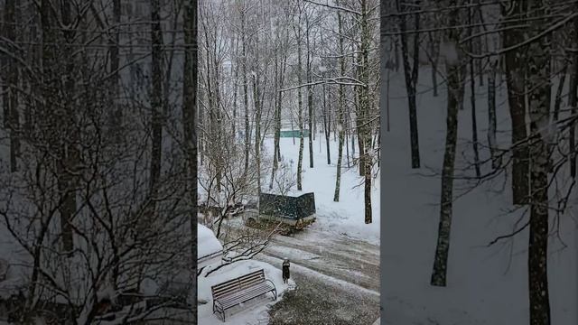VID_20230326_184157.mp4 смотреть онлайн