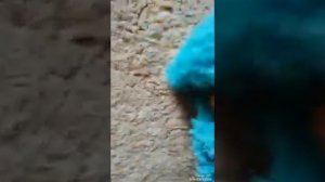 Убрать пластилин с ковра?? Никаких проблем!!!