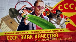 Любимые шесть соток… Советская дачная романтика