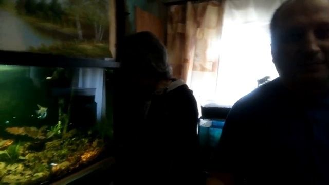 Грунт для аквариума.Какой выбрать грунт? смотреть онлайн