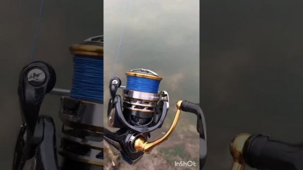 Daiwa Exceler LT 3000-CXH. Ловля щуки
