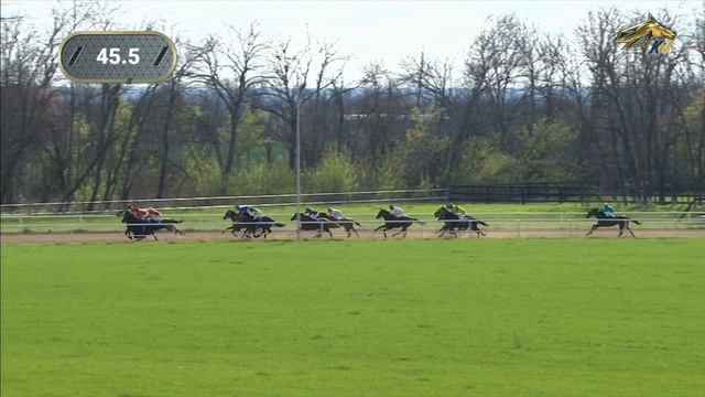 6-я Скачка. Спринтерский приз. Павловский Ипподром 16 апреля 2022 смотреть онлайн