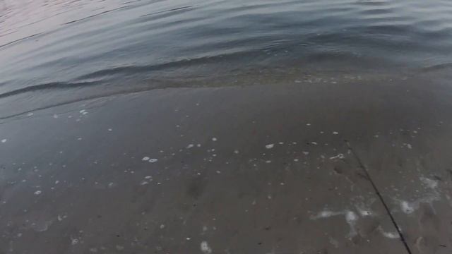 ГИБРИД и ЛЕЩ , хорошая РАЗДАЧА. Рыбалка на ДОНУ. смотреть онлайн