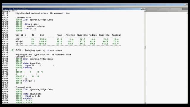 Develop your programs with local SAS and port to production server SAS using SAS connect смотреть онлайн