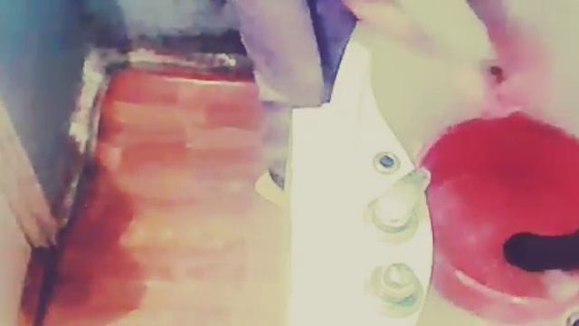 Как ухаживать за морской свинкой(1) смотреть онлайн