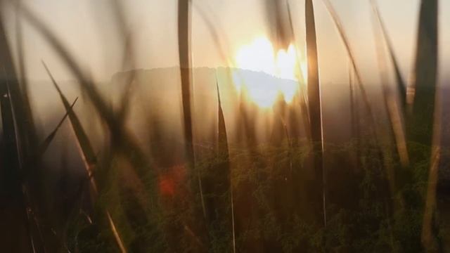 ЧТО ИЗМЕНИТСЯ В ЖИЗНИ ЧЕЛОВЕКА В СВЯЗИ С НОВЫМИ ЭНЕРГИЯМИ смотреть онлайн