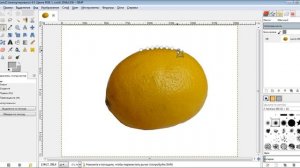 Сделать прозрачный фон в GIMP